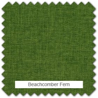 Beachcomber - Fern