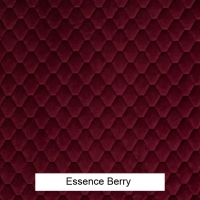 Essence Berry