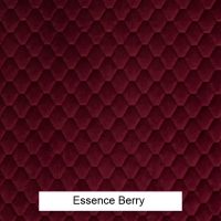 Essence Berry