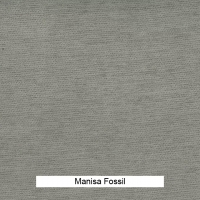 Manisa Fossil