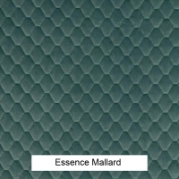 Essence Mallard