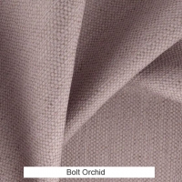 Bolt-Orchid